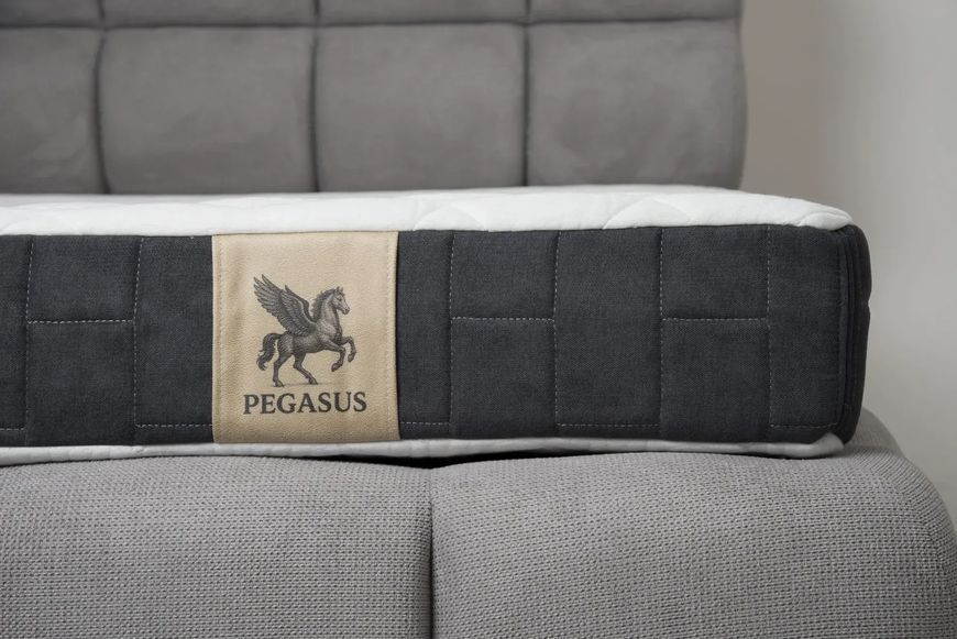 Матрац Pegasus Aura 78233 фото